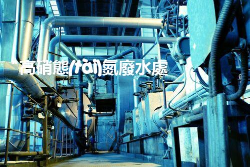“高硝態(tài)氮廢水處理，綠色環(huán)保新篇章”